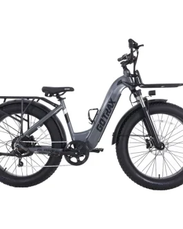 Alpine Fat Tire eBike