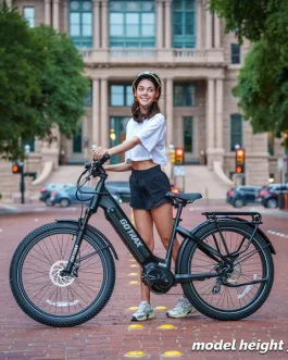 MX1 Mid Drive Electric Bike