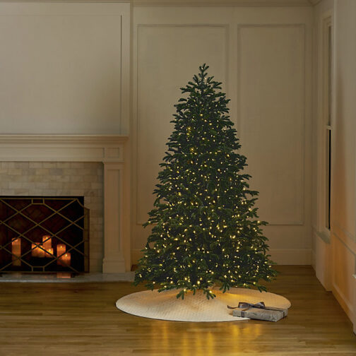 Rocky Mountain Noble Pine Full Profile Quick-Light Tree