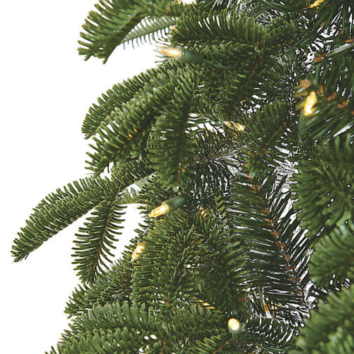 Rocky Mountain Noble Pine Full Profile Quick-Light Tree - Image 2